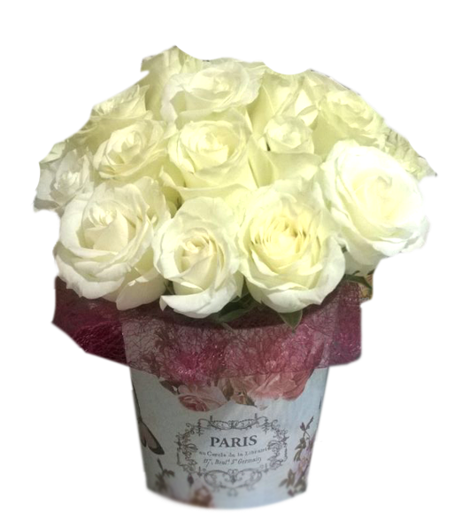 .24 Rosas en Caja Redonda  Decorativa